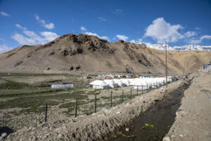 Pangong Lake vs Tso Moriri