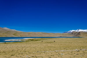 Ladakh in 13 Days