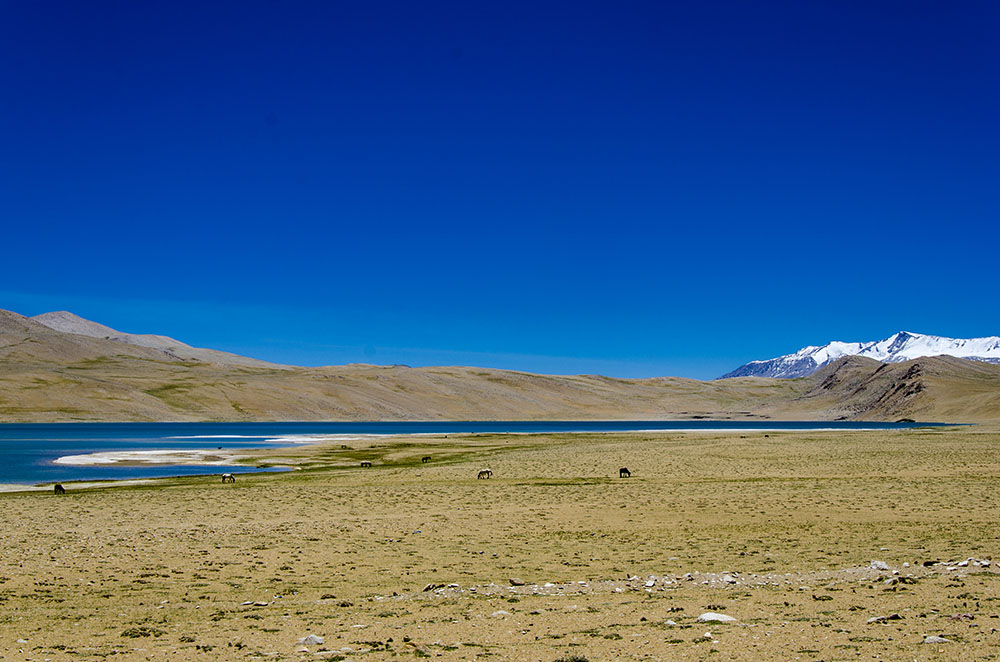 Ladakh in 13 Days