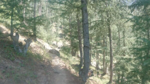 srinagar to lolab valley