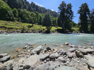 maryam cottage pahalgam