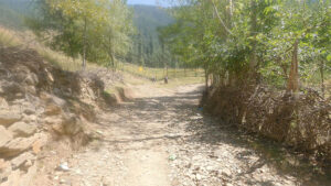 srinagar to lolab valley